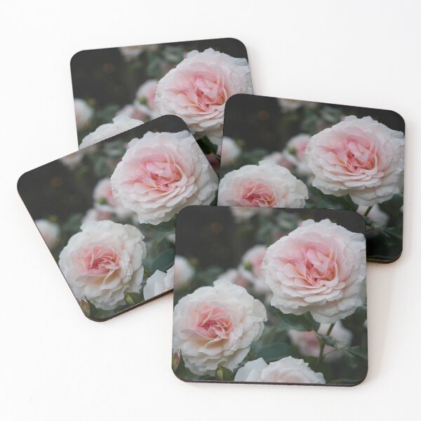 Item preview, Pale in the night. Rose designed and sold by Jouko Lehto Photography.