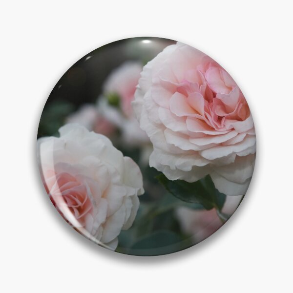 Item preview, Pale in the night. Rose designed and sold by Jouko Lehto Photography.