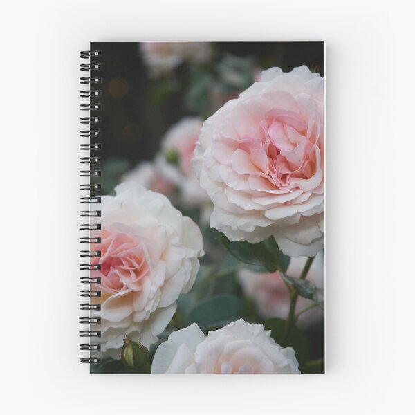 Item preview, Pale in the night. Rose designed and sold by Jouko Lehto Photography.