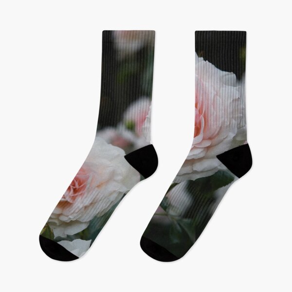 Item preview, Pale in the night. Rose designed and sold by Jouko Lehto Photography.