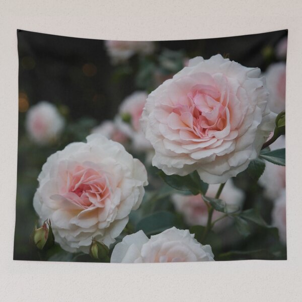 Item preview, Pale in the night. Rose designed and sold by Jouko Lehto Photography.