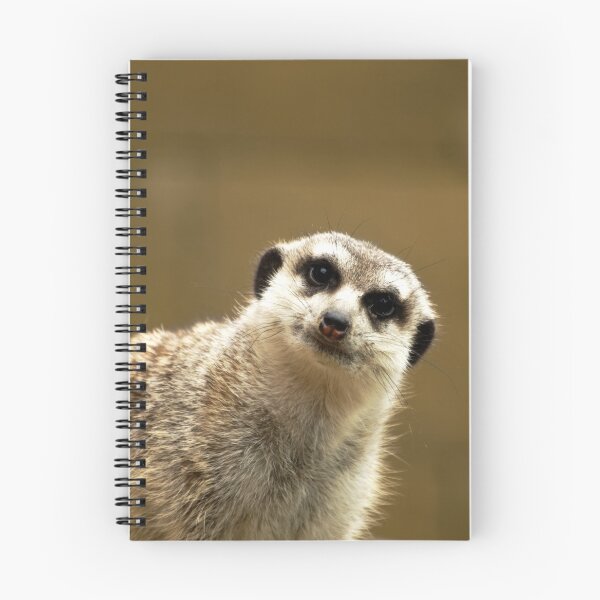 Item preview, Meerkat Suricata suricatta looking curiously on a brown blurred background designed and sold by Michaelerch.