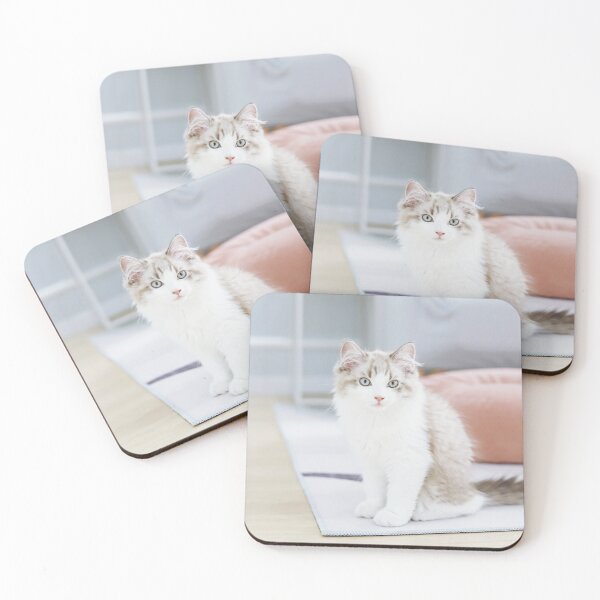 Item preview, Animals | White Cat designed and sold by YI-Creations.