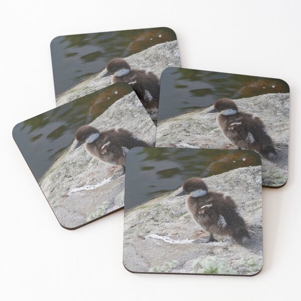 Item preview, Sometimes you just step on it. Common goldeneye designed and sold by Jouko Lehto Photography.