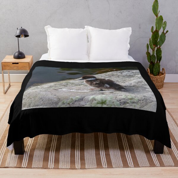 Item preview, Sometimes you just step on it. Common goldeneye designed and sold by Jouko Lehto Photography.