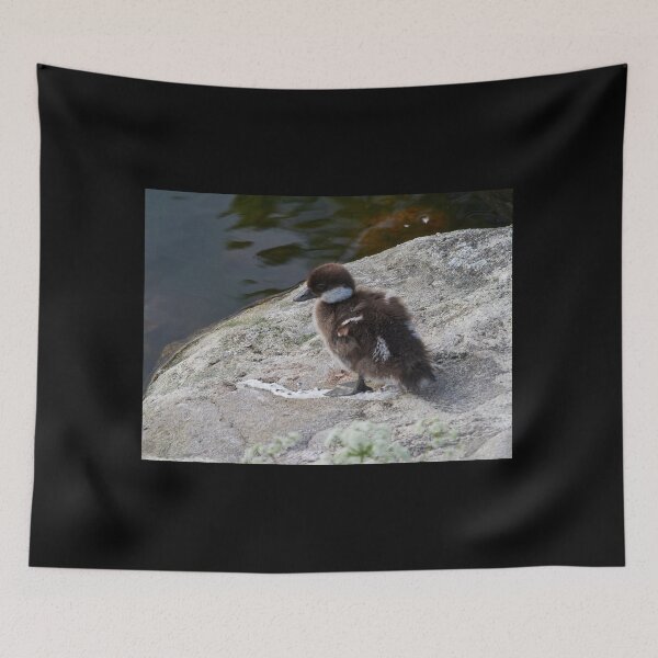 Item preview, Sometimes you just step on it. Common goldeneye designed and sold by Jouko Lehto Photography.