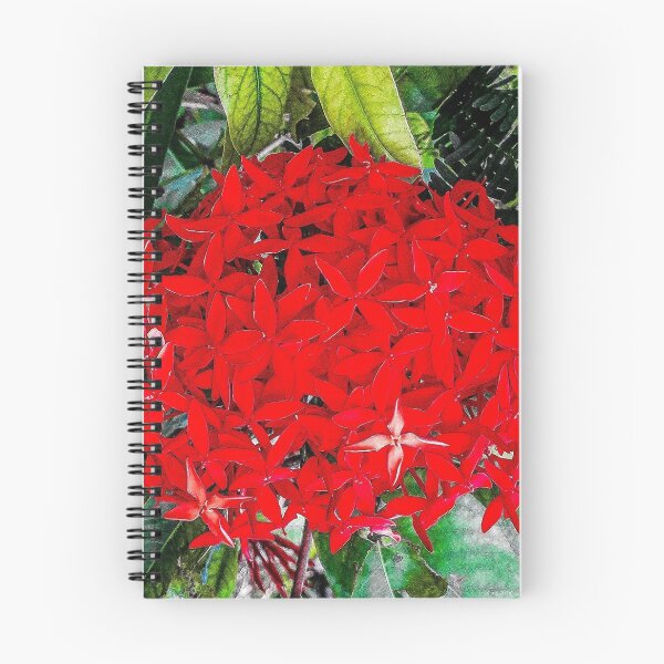 Item preview, CHRISTMAS RED IXORA BOUQUET FLORAL DESIGN designed and sold by Coolklaset.