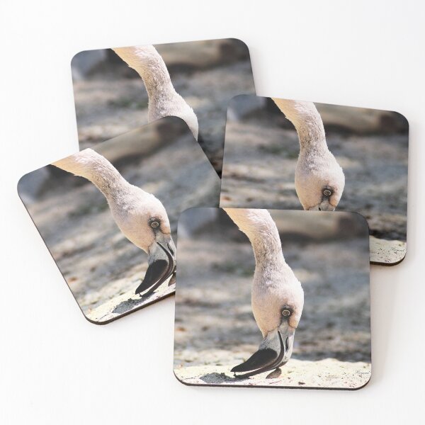 Item preview, Animals designed and sold by Darlene Boudreaux.
