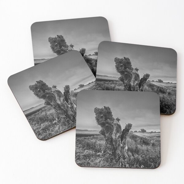 Item preview, Trees On The Marsh designed and sold by Dave Godden.