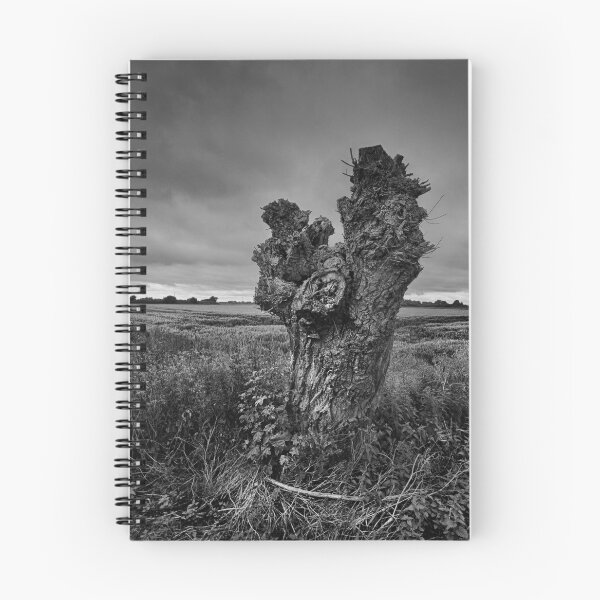 Item preview, Trees On The Marsh designed and sold by Dave Godden.