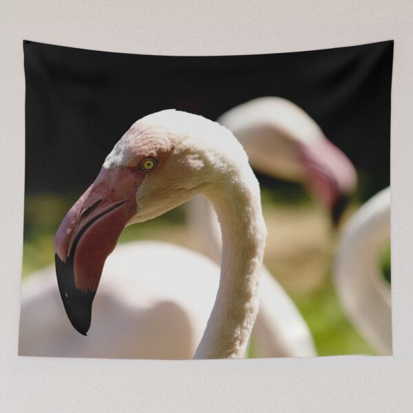 Item preview, Greater flamingo birds designed and sold by Michaelerch.