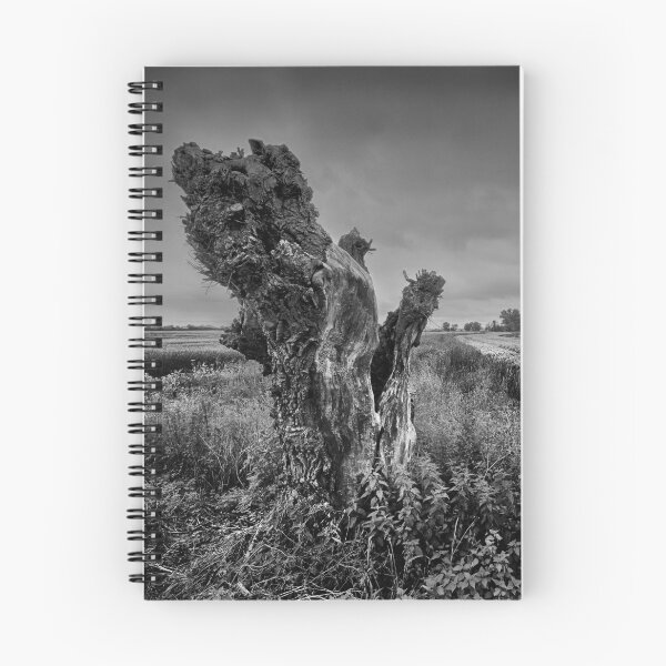 Item preview, Trees On The Marsh designed and sold by Dave Godden.