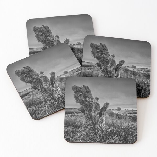 Item preview, Trees On The Marsh designed and sold by Dave Godden.