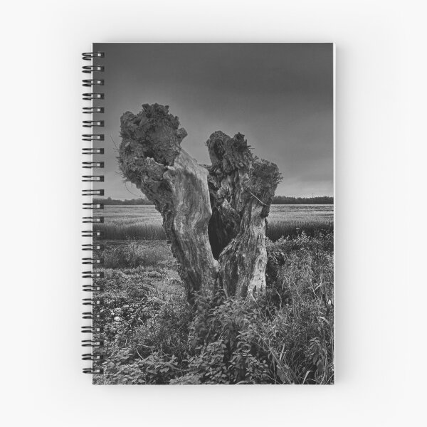 Item preview, Trees On The Marsh designed and sold by Dave Godden.