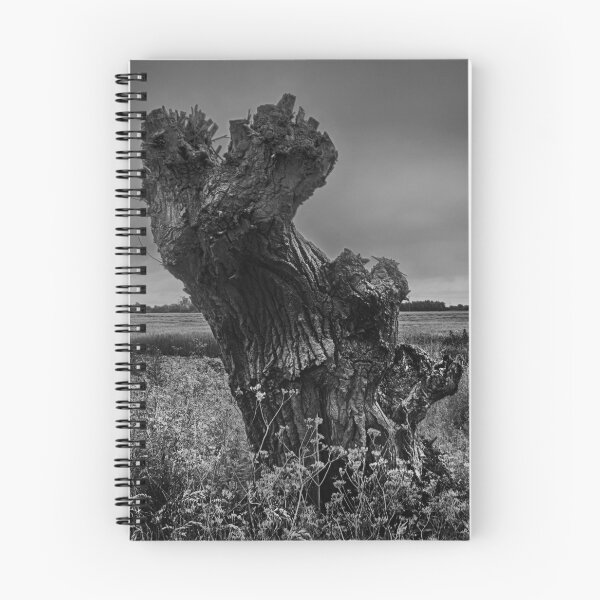 Item preview, Trees On The Marsh designed and sold by Dave Godden.