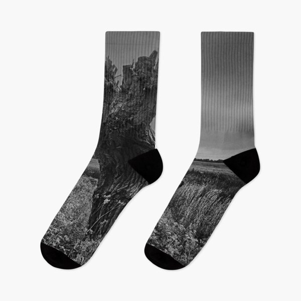 Item preview, Trees On The Marsh designed and sold by Dave Godden.
