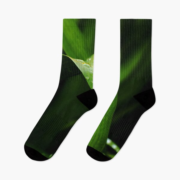 Item preview, Green leaves with rain drops on it designed and sold by Michaelerch.