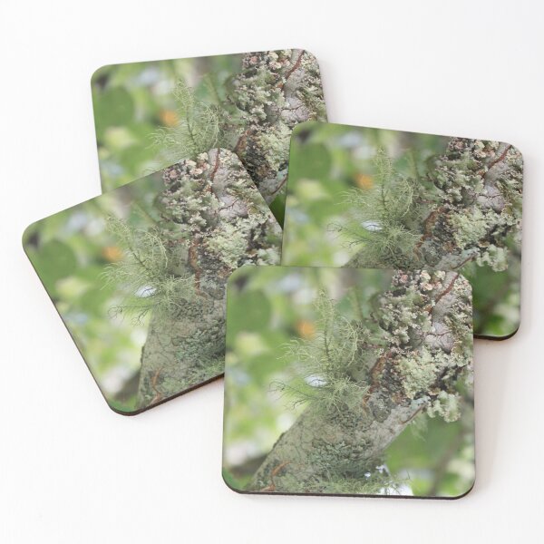 Item preview, What's not to lichen?  designed and sold by chstudios.