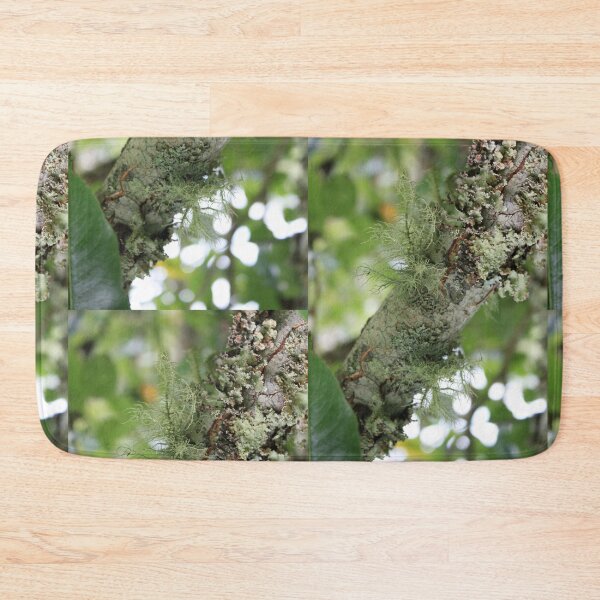 Item preview, What's not to lichen?  designed and sold by chstudios.