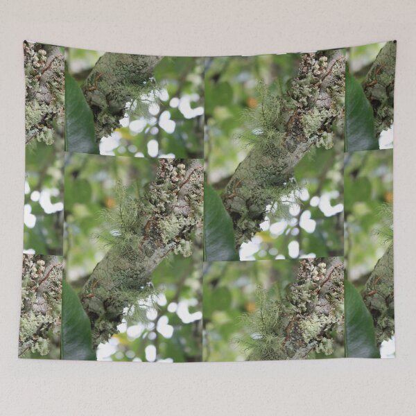 Item preview, What's not to lichen?  designed and sold by chstudios.