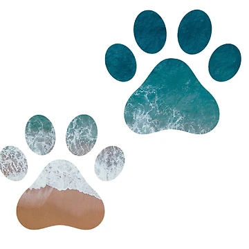 Artwork thumbnail, Sandy Paws by Only4sometimes