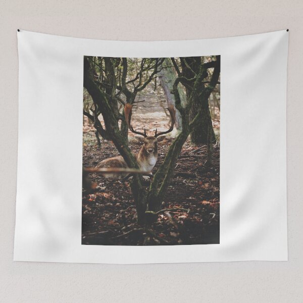 Item preview, Animals | Serene elk designed and sold by YI-Creations.