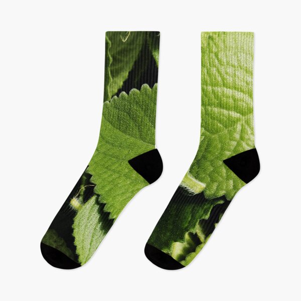 Item preview, Heap of Mexican mint leaves designed and sold by Michaelerch.