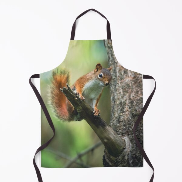 Item preview, Animals | American Red Squirrel designed and sold by YI-Creations.