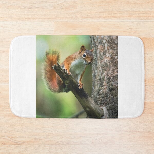 Item preview, Animals | American Red Squirrel designed and sold by YI-Creations.