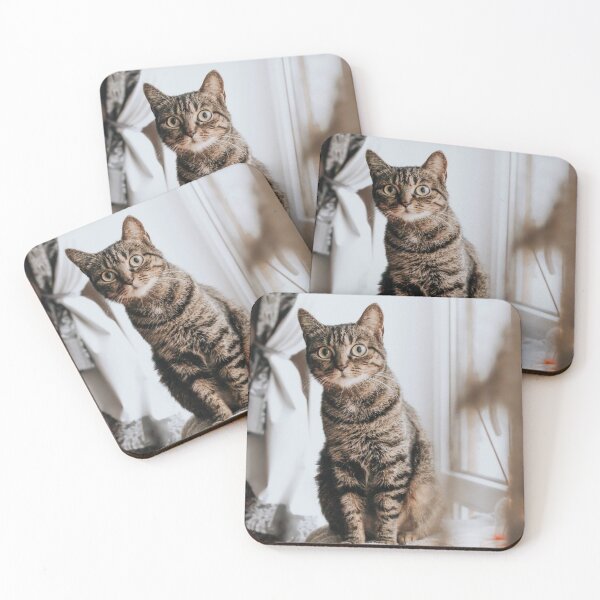 Item preview, Animals | Brown Cat designed and sold by YI-Creations.