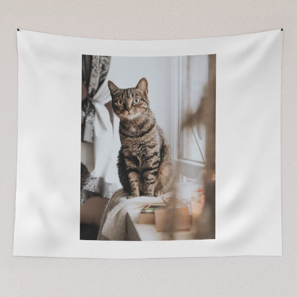 Item preview, Animals | Brown Cat designed and sold by YI-Creations.
