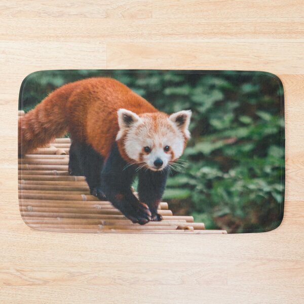 Item preview, Red Panda Walking across a bamboo bridge designed and sold by Michael Deemer.