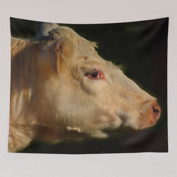 Item preview, bovine affection - photograph designed and sold by Paul Davenport.