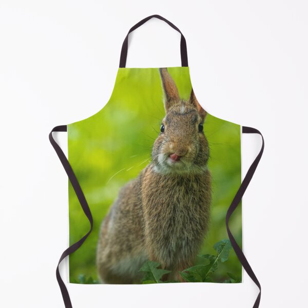Item preview, Animals | Brown Rabbit designed and sold by YI-Creations.