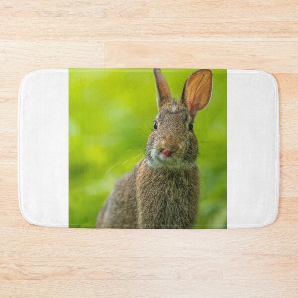 Item preview, Animals | Brown Rabbit designed and sold by YI-Creations.