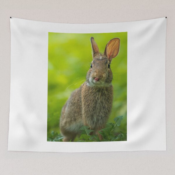 Item preview, Animals | Brown Rabbit designed and sold by YI-Creations.