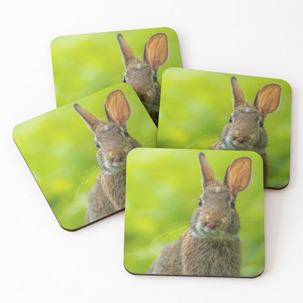 Item preview, Animals | Brown Rabbit designed and sold by YI-Creations.