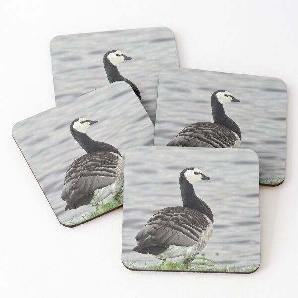 Item preview, Barnacle goose by the lake designed and sold by Jouko Lehto Photography.