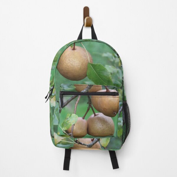 Item preview, Seckel Pear study 1 designed and sold by chstudios.