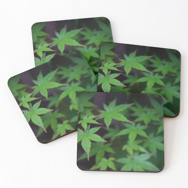 Item preview, Marijuana maple leaves designed and sold by Strale25kv.