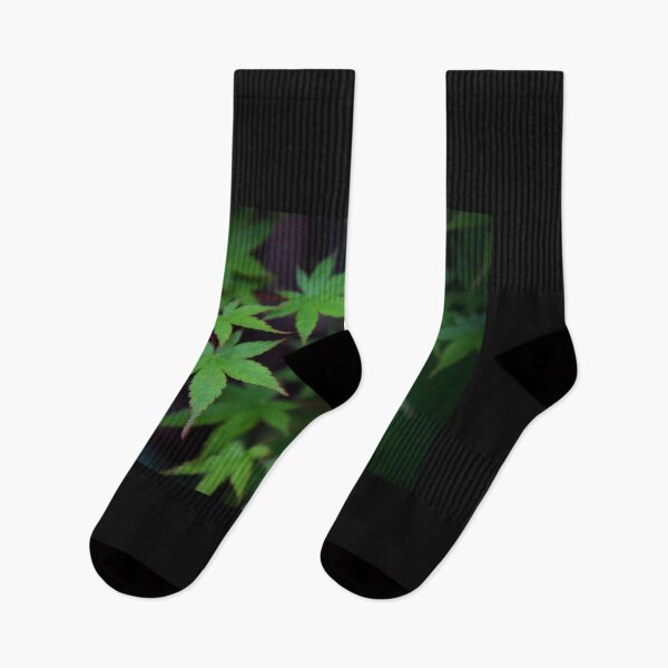 Item preview, Marijuana maple leaves designed and sold by Strale25kv.