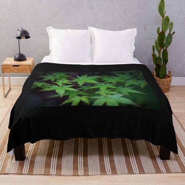 Item preview, Marijuana maple leaves designed and sold by Strale25kv.