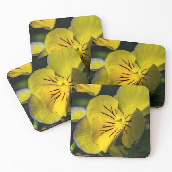 Item preview, Pansy in bloom designed and sold by CanadianWild418.