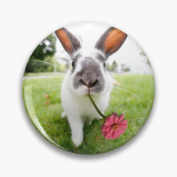 Item preview, I got this flower for you | Bunny and the Chrysanthemum designed and sold by deepgoa.