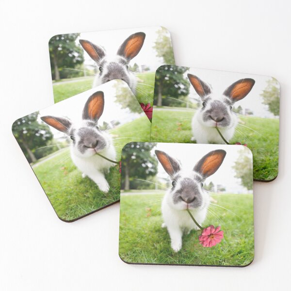 Item preview, I got this flower for you | Bunny and the Chrysanthemum designed and sold by deepgoa.