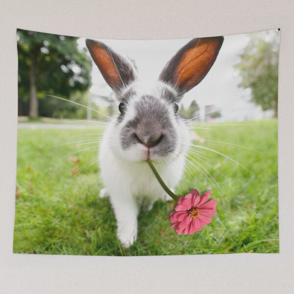 Item preview, I got this flower for you | Bunny and the Chrysanthemum designed and sold by deepgoa.