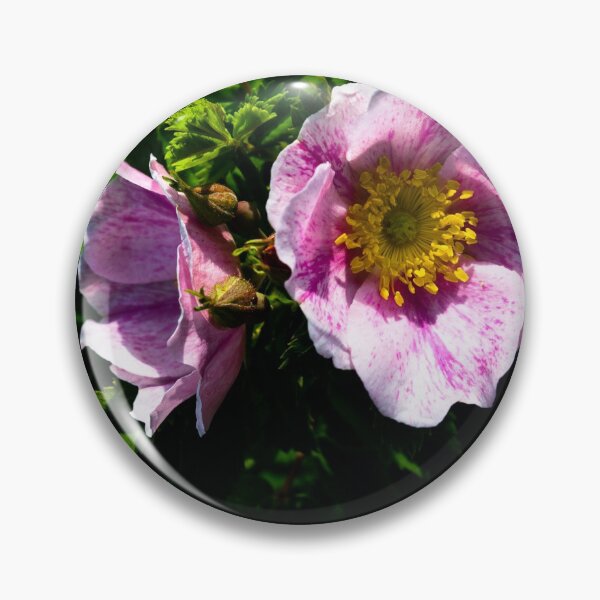 Item preview, Wild rose designed and sold by CanadianWild418.