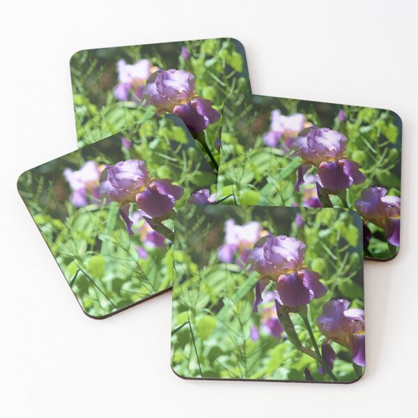 Item preview, Purple Bearded Irises study 2  designed and sold by chstudios.