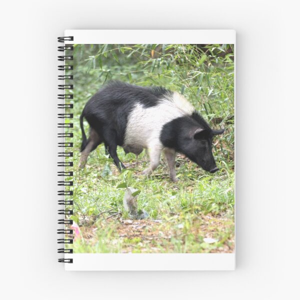 Item preview, SOW WILD HOG designed and sold by TomBaumker.