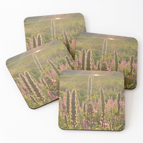 Item preview, Natures Beauty  designed and sold by PhotosByBeth.